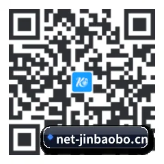 系统版 iOS 二维码
